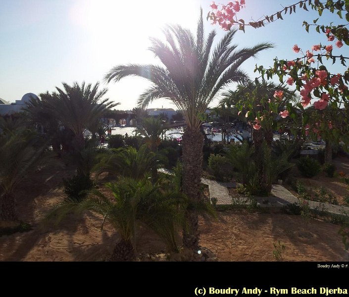 Boudry Andy - Rym Beach Djerba - Tunisie -026.jpg